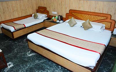 hotels in katra, hotel triund bali palace